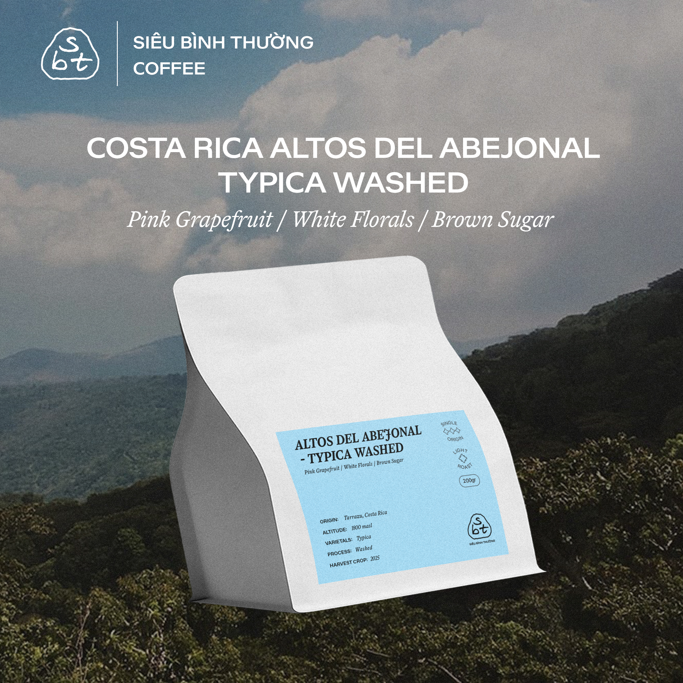 Altos del Abejonal Typica – 200gr