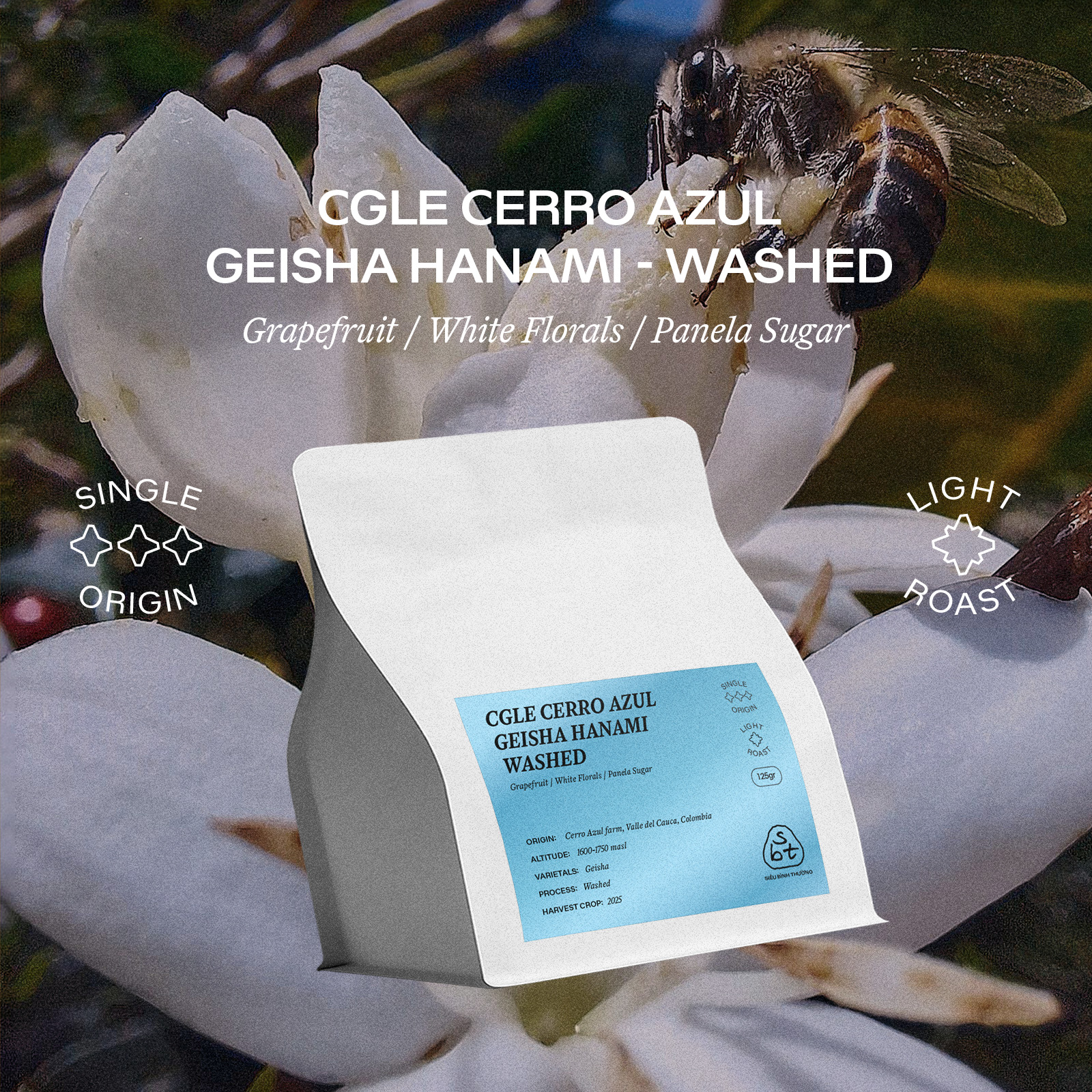 CGLE Cerro Azul Hanami Geisha Washed – 125gr